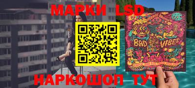 амф Шахты