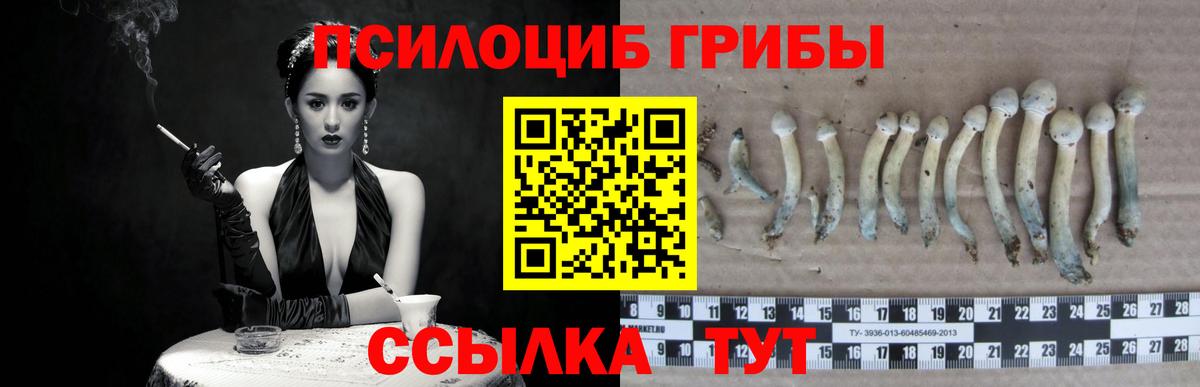 Псилоцибиновые грибы прущие грибы  Вход с VPN  Рассказово  Псилоцибиновые грибы Magic Shrooms 